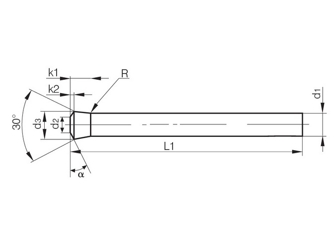 Punzoni testa rinforzata a 30° - Punches with tapered head 30